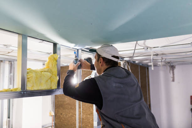 Best Cellulose Insulation  in Sunset, FL