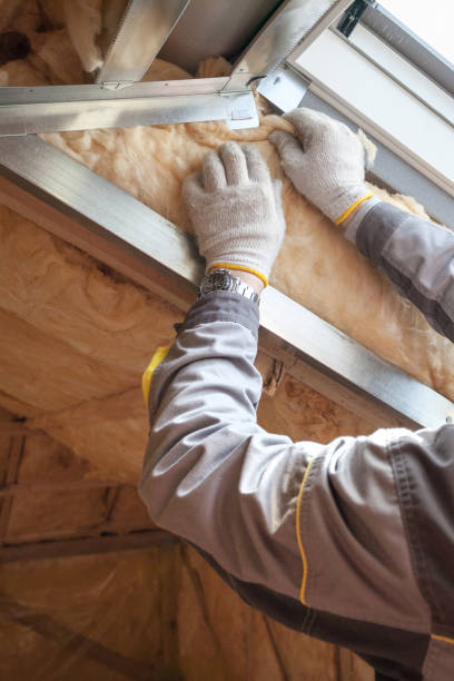 Best Best Insulation Companies  in Sunset, FL